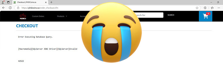 Website bugs